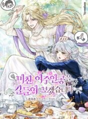 Let’s Tame The Crazy Heroine.